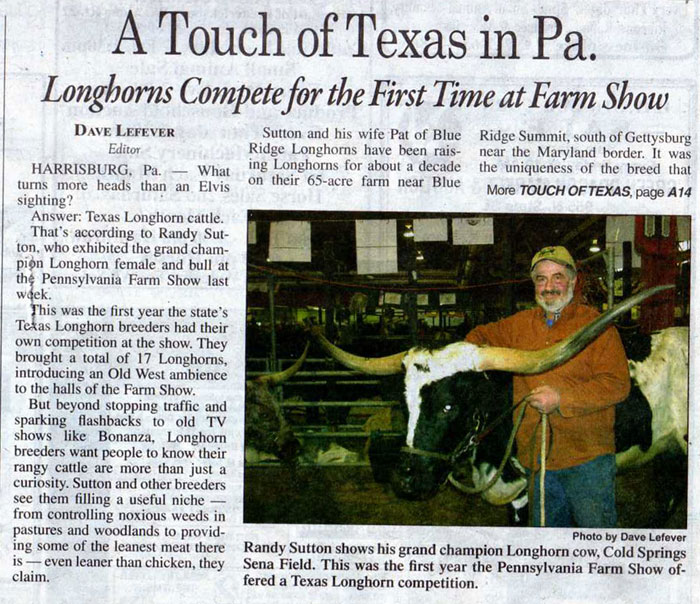 Randy Sutton's Longhorns